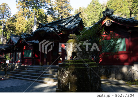 【神奈川】　箱根神社 86257204