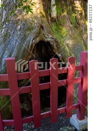 【神奈川】 箱根神社 【神奈川】 箱根神社 86257237