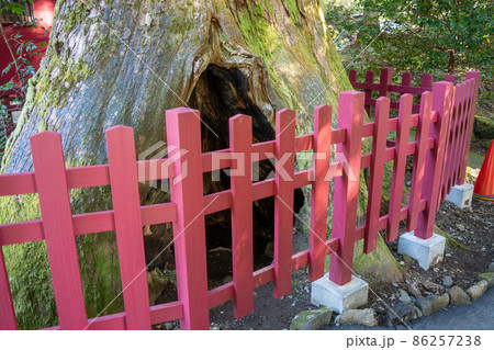 【神奈川】 箱根神社 【神奈川】 箱根神社 86257238