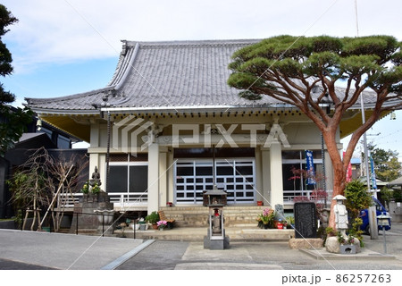 茅ヶ崎市 廣徳寺本堂と松の木 茅ヶ崎市 廣徳寺本堂と松の木 86257263