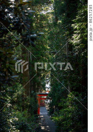 【神奈川】　箱根神社 86257285