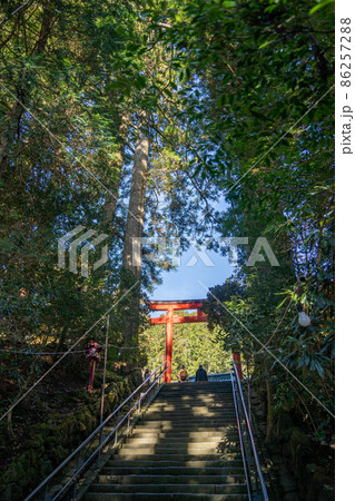 【神奈川】　箱根神社 86257288