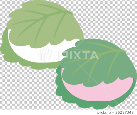 柏餅二つ_ピンクと白 86257348