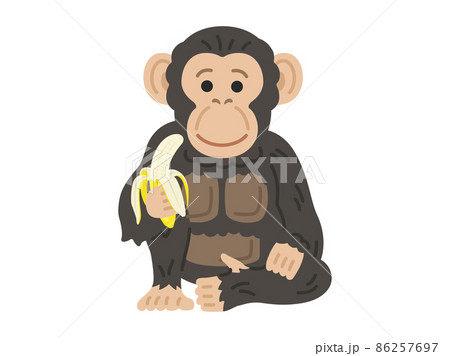バナナを食べるチンパンジーのイラスト 86257697