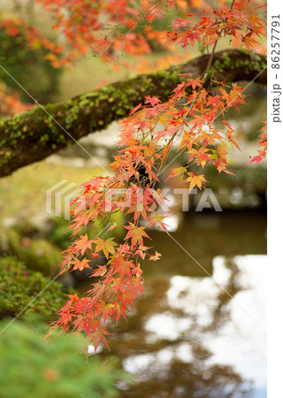 庭園の秋を飾る紅葉 86257791