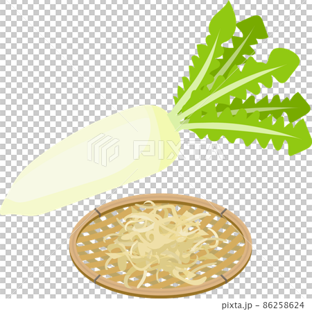 Illustration of dried daikon radish and radish with leaves Illustration of dried daikon radish and radish with leaves 86258624