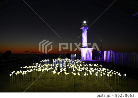 飯岡刑部岬の夜景【街の夜景】千葉県銚子市 86258663
