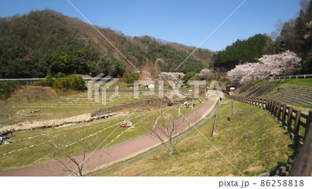 知明湖キャンプ場 86258818