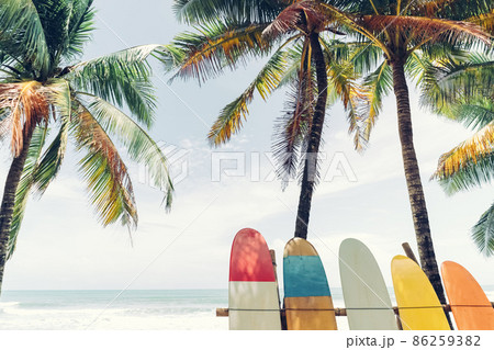 Surfboard and palm tree on beach background. Travel adventure sport and summer vacation concept. Surfboard and palm tree on beach background. Travel adventure sport and summer vacation concept. 86259382