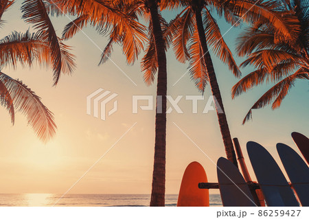 Surfboard and palm tree on tropical sunset beach background. Surfboard and palm tree on tropical sunset beach background. 86259427