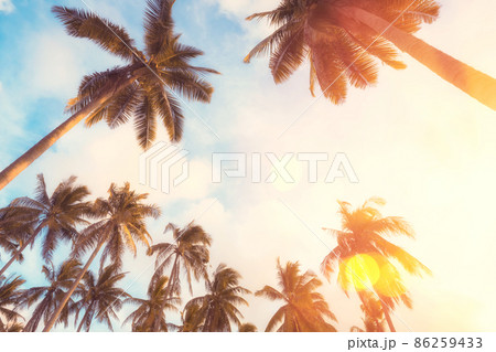 Copy space of silhouette tropical palm tree with sun light on sunset sky and cloud abstract background. Copy space of silhouette tropical palm tree with sun light on sunset sky and cloud abstract background. 86259433