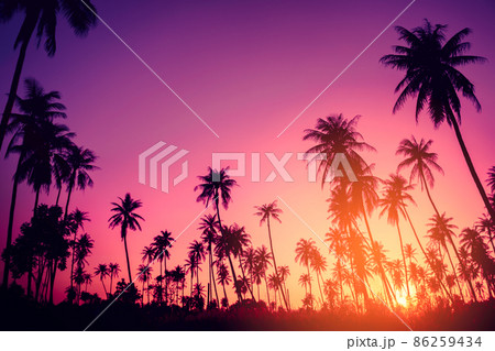 Copy space of silhouette tropical palm tree with sun light on sunset sky and cloud abstract background. Copy space of silhouette tropical palm tree with sun light on sunset sky and cloud abstract background. 86259434