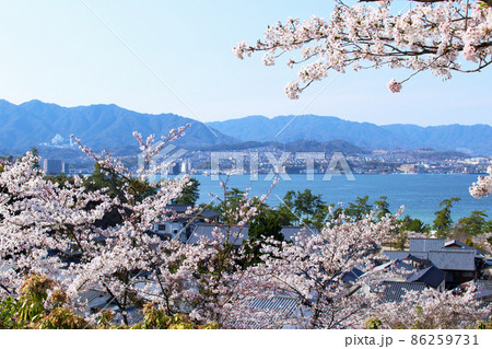宮島の春、桜と街並みと対岸の風景 86259731
