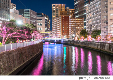 《東京都》目黒川冬の桜イルミネーション・タワーマンションの夜景 《東京都》目黒川冬の桜イルミネーション・タワーマンションの夜景 86260488