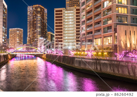 《東京都》目黒川冬の桜イルミネーション・タワーマンションの夜景 86260492