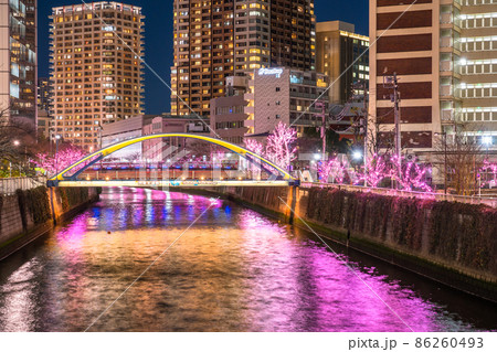 《東京都》目黒川冬の桜イルミネーション・タワーマンションの夜景 86260493