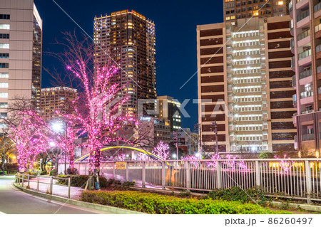 《東京都》目黒川冬の桜イルミネーション・タワーマンションの夜景 86260497