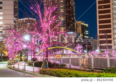 《東京都》目黒川冬の桜イルミネーション・タワーマンションの夜景 86260498