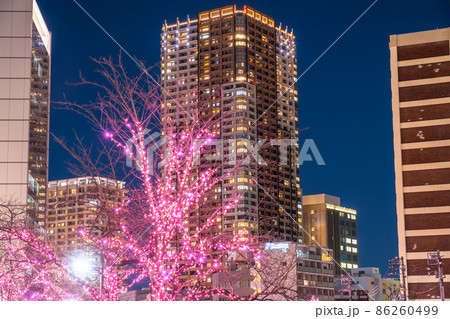 《東京都》目黒川冬の桜イルミネーション・タワーマンションの夜景 《東京都》目黒川冬の桜イルミネーション・タワーマンションの夜景 86260499