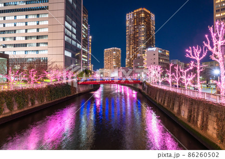 《東京都》目黒川冬の桜イルミネーション・タワーマンションの夜景 86260502