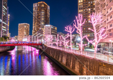 《東京都》目黒川冬の桜イルミネーション・タワーマンションの夜景 86260504