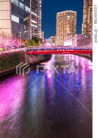 《東京都》目黒川冬の桜イルミネーション・タワーマンションの夜景 《東京都》目黒川冬の桜イルミネーション・タワーマンションの夜景 86260507