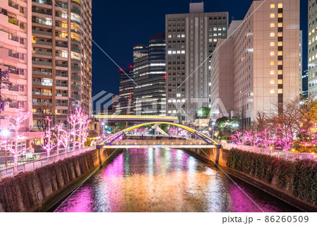 《東京都》目黒川冬の桜イルミネーション・タワーマンションの夜景 86260509
