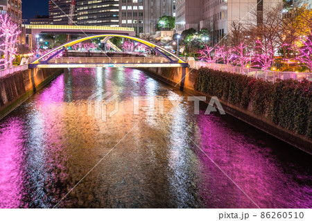 《東京都》目黒川冬の桜イルミネーション・タワーマンションの夜景 86260510