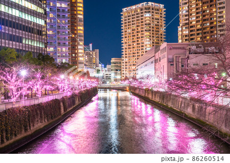 《東京都》目黒川冬の桜イルミネーション・タワーマンションの夜景 86260514
