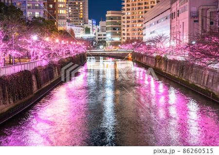 《東京都》目黒川冬の桜イルミネーション・タワーマンションの夜景 86260515