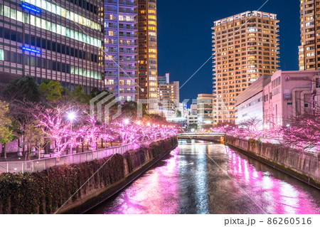 《東京都》目黒川冬の桜イルミネーション・タワーマンションの夜景 《東京都》目黒川冬の桜イルミネーション・タワーマンションの夜景 86260516
