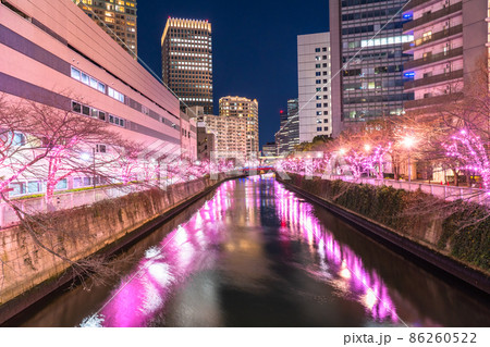 《東京都》目黒川冬の桜イルミネーション・タワーマンションの夜景 86260522