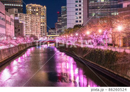 《東京都》目黒川冬の桜イルミネーション・タワーマンションの夜景 《東京都》目黒川冬の桜イルミネーション・タワーマンションの夜景 86260524