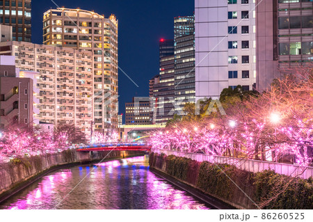 《東京都》目黒川冬の桜イルミネーション・タワーマンションの夜景 《東京都》目黒川冬の桜イルミネーション・タワーマンションの夜景 86260525