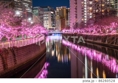 《東京都》目黒川冬の桜イルミネーション・タワーマンションの夜景 86260528