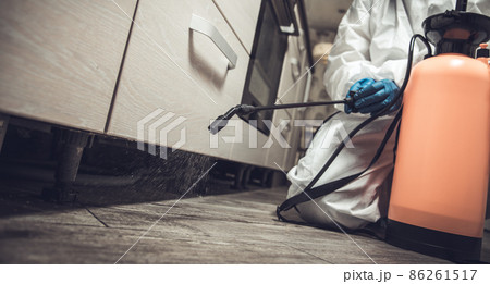 Spray gun with pesticides close-up. An exterminator in work clothes sprays pesticides from a spray bottle. Fight against insects in apartments and houses. Disinsection of premises 86261517