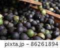 採れたて新鮮なオリーブ 86261894