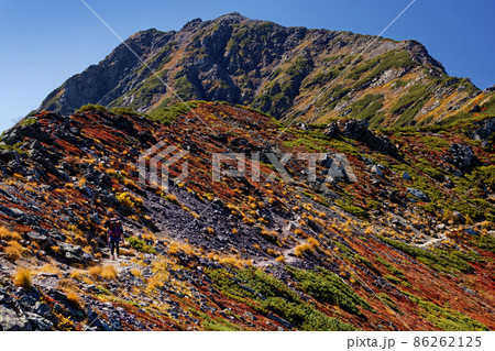 紅葉の稜線から見る南アルプス・北岳山頂 86262125