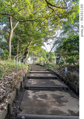 【神奈川県】江の島にある恋人の丘へ続く階段 86262190