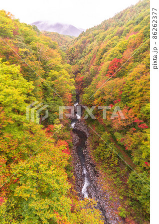 《福島県》中津川渓谷の紅葉 《福島県》中津川渓谷の紅葉 86262377