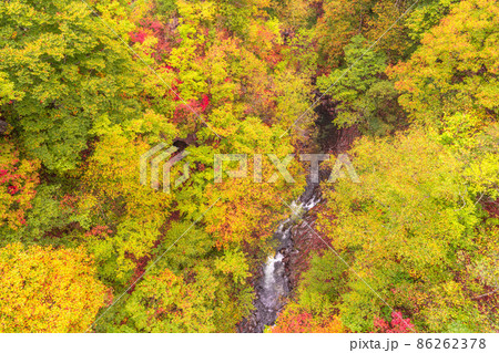 《福島県》中津川渓谷の紅葉 《福島県》中津川渓谷の紅葉 86262378