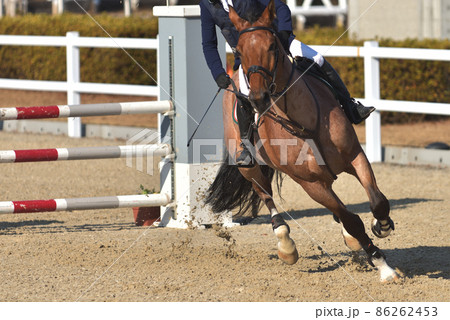 障害馬術競技 力強く跳ねる馬と選手 障害馬術競技 力強く跳ねる馬と選手 86262453