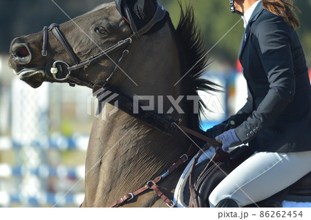 障害馬術競技 力強く跳ねる馬と選手 障害馬術競技 力強く跳ねる馬と選手 86262454