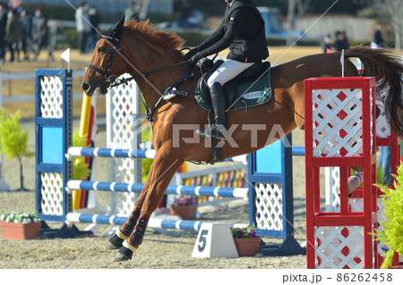 障害馬術競技　力強く跳ねる馬と選手 86262458