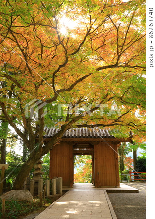 秋の大興善寺 86263740