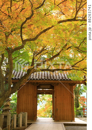 秋の大興善寺 86263741