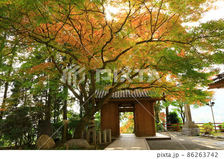 秋の大興善寺 86263742