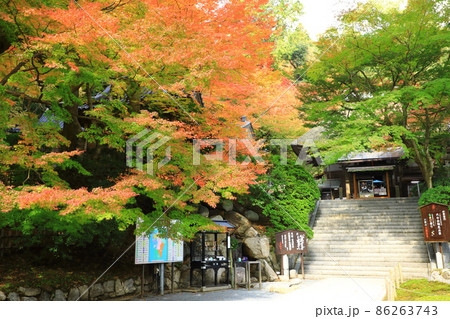 秋の大興善寺 秋の大興善寺 86263743