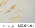 Spikelets of dry rye. 86264101