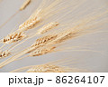 Spikelets of dry rye. 86264107